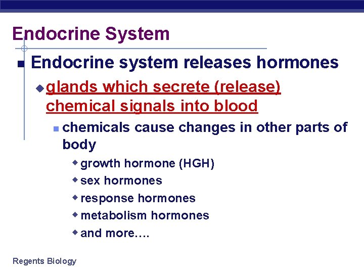 Endocrine System Endocrine system releases hormones u glands which secrete (release) chemical signals into