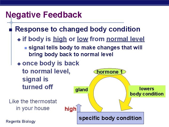 Negative Feedback Response to changed body condition u if body is high or low