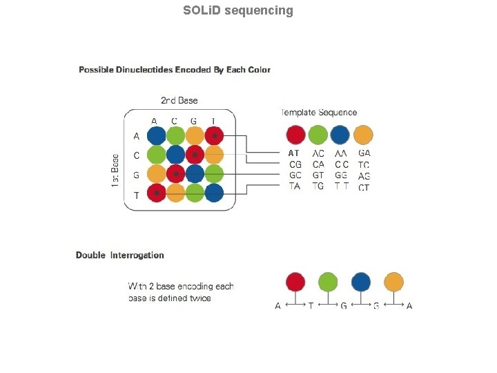 SOLi. D sequencing AT 