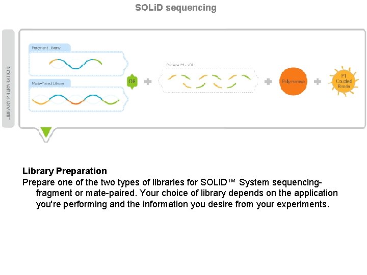 SOLi. D sequencing Library Preparation Prepare one of the two types of libraries for