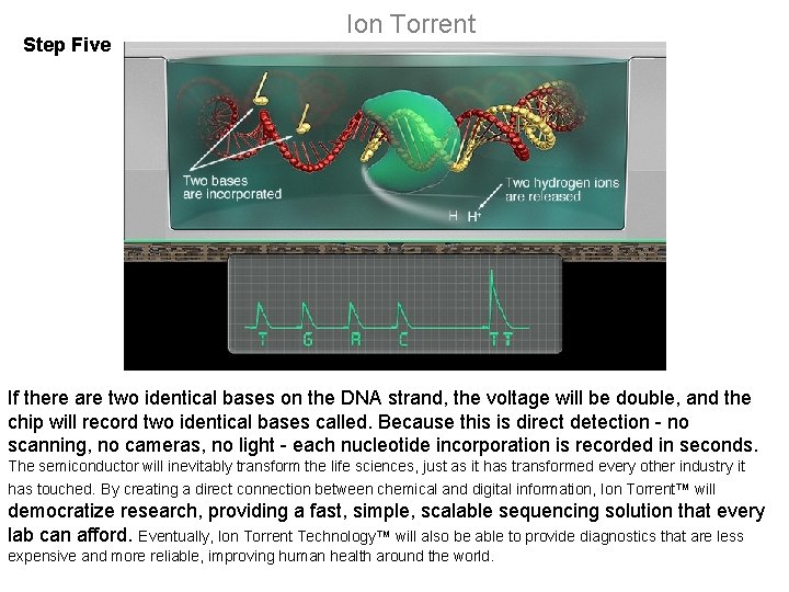 Step Five Ion Torrent If there are two identical bases on the DNA strand,