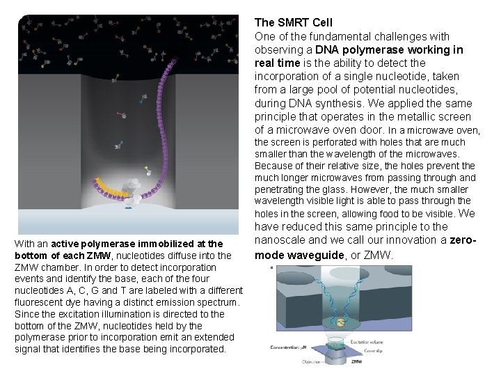 The SMRT Cell One of the fundamental challenges with observing a DNA polymerase working