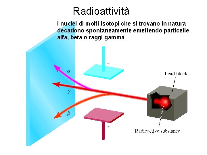 Radioattività I nuclei di molti isotopi che si trovano in natura decadono spontaneamente emettendo