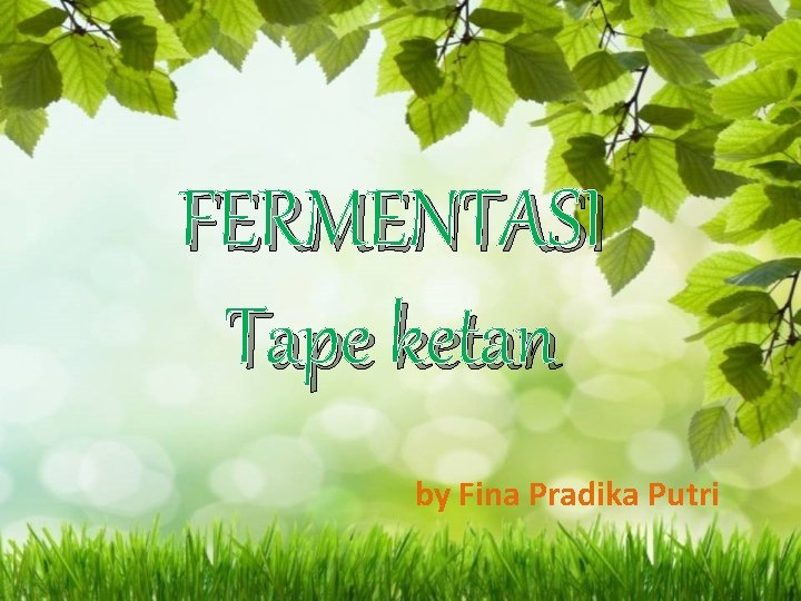 FERMENTASI Tape ketan by Fina Pradika Putri 