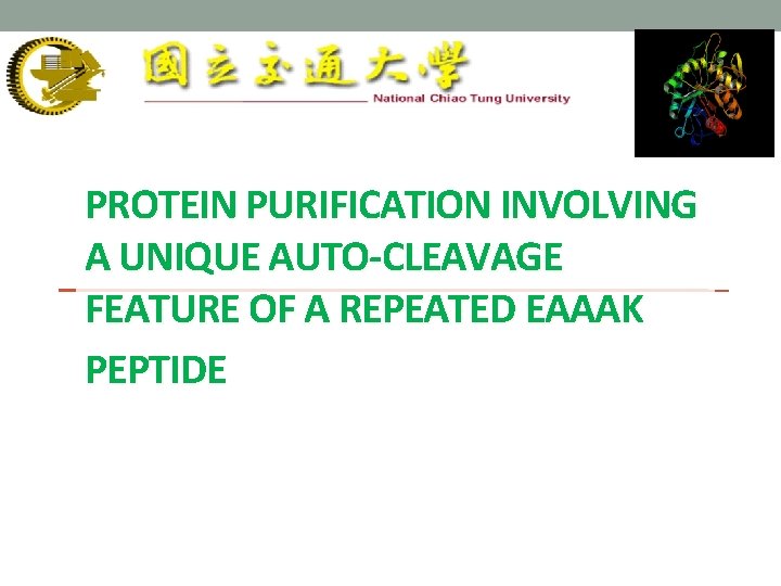 PROTEIN PURIFICATION INVOLVING A UNIQUE AUTO-CLEAVAGE FEATURE OF A REPEATED EAAAK PEPTIDE 