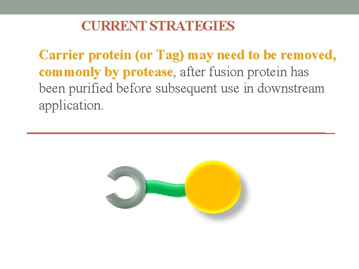 CURRENT STRATEGIES Carrier protein (or Tag) may need to be removed, commonly by protease,