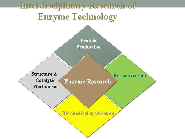 Interdisciplinary Research of Enzyme Technology Protein Production Structure & Catalytic Mechanism Enzyme Research Bio-conversion