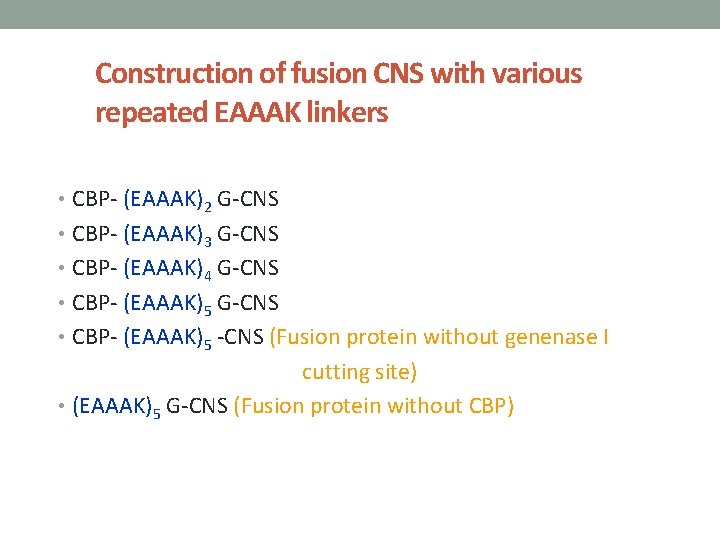 Construction of fusion CNS with various repeated EAAAK linkers • CBP- (EAAAK)2 G-CNS •