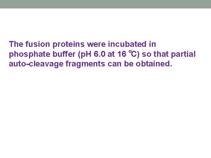 The fusion proteins were incubated in phosphate buffer (p. H 6. 0 at 16