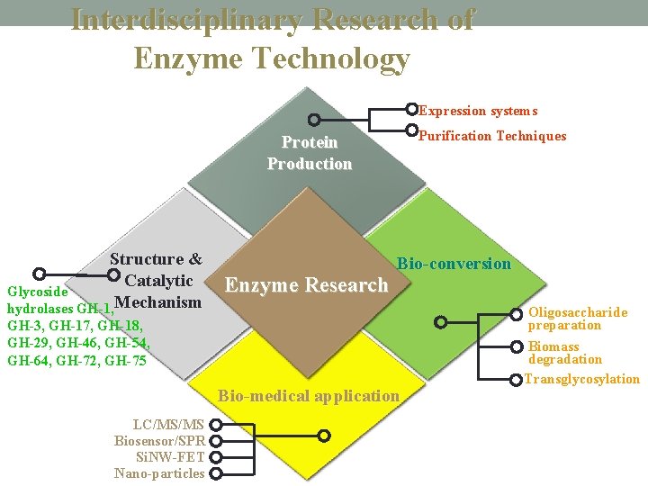 Interdisciplinary Research of Enzyme Technology Expression systems Purification Techniques Protein Production Structure & Catalytic