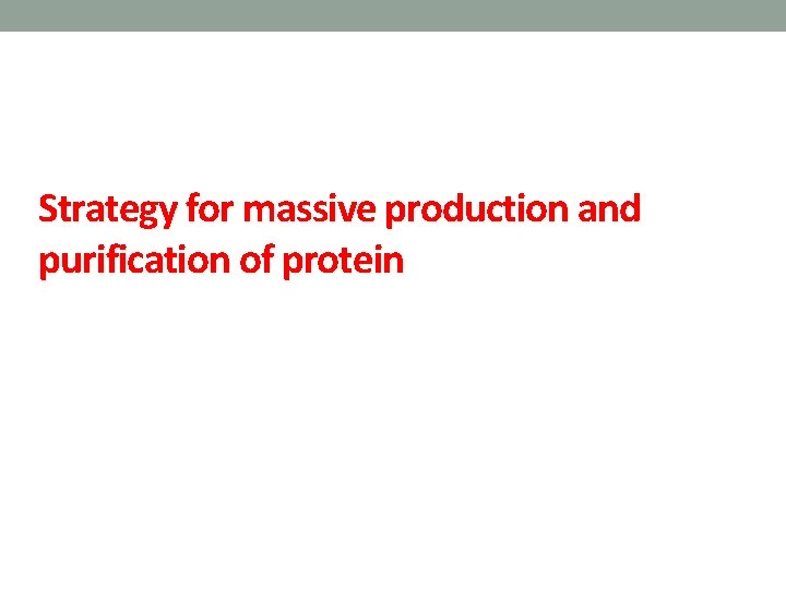 Strategy for massive production and purification of protein 