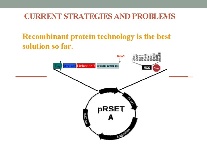 CURRENT STRATEGIES AND PROBLEMS Recombinant protein technology is the best solution so far. 