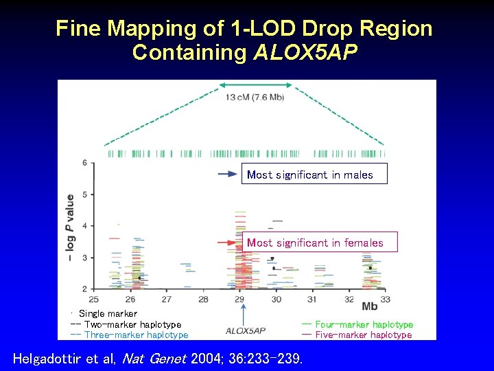 Fine Mapping of 1 -LOD Drop Region Containing ALOX 5 AP Most significant in