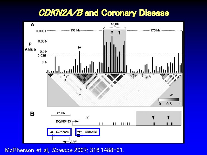 CDKN 2 A/B and Coronary Disease Mc. Pherson et al, Science 2007; 316: 1488