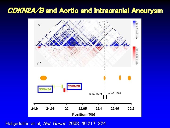 CDKN 2 A/B and Aortic and Intracranial Aneurysm Helgadottir et al, Nat Genet 2008;