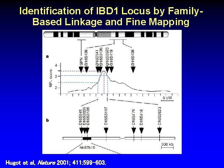 Identification of IBD 1 Locus by Family. Based Linkage and Fine Mapping Hugot et