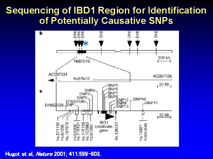 Sequencing of IBD 1 Region for Identification of Potentially Causative SNPs * Hugot et