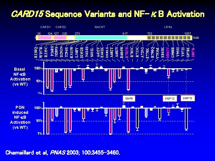 CARD 15 Sequence Variants and NF-κB Activation CARD 1 26 NACHT CARD 2 124