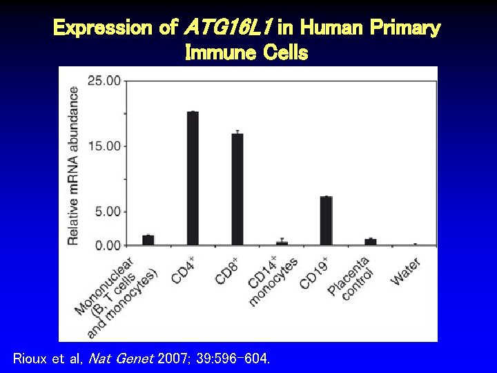Expression of ATG 16 L 1 in Human Primary Immune Cells Rioux et al,