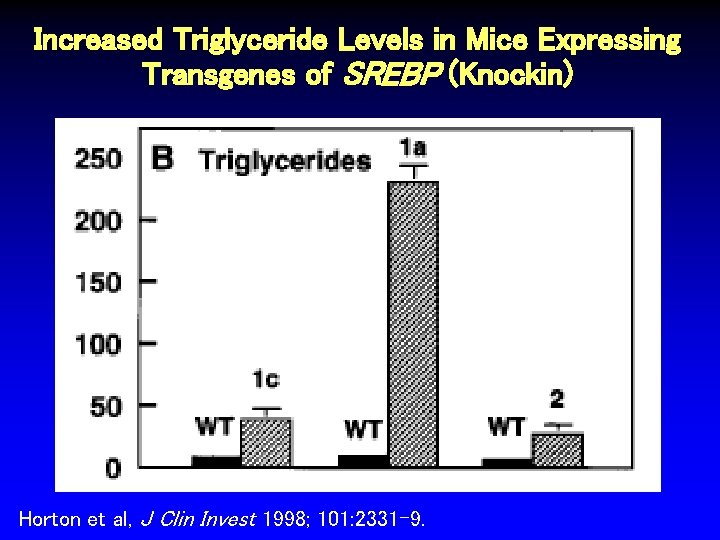 Increased Triglyceride Levels in Mice Expressing Transgenes of SREBP (Knockin) Horton et al, J