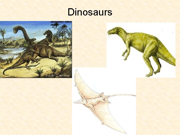 Dinosaurs Dinosaurs
