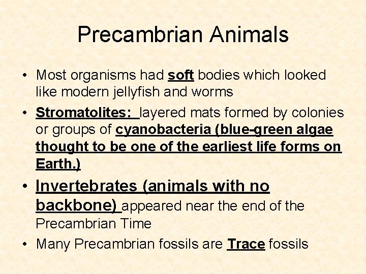 Precambrian Animals • Most organisms had soft bodies which looked like modern jellyfish and Precambrian Animals • Most organisms had soft bodies which looked like modern jellyfish and