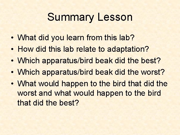 Summary Lesson • • • What did you learn from this lab? How did Summary Lesson • • • What did you learn from this lab? How did