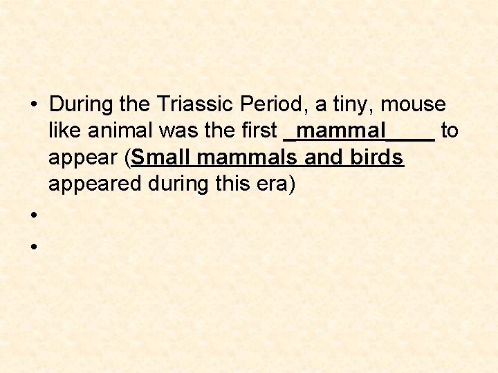 • During the Triassic Period, a tiny, mouse like animal was the first • During the Triassic Period, a tiny, mouse like animal was the first