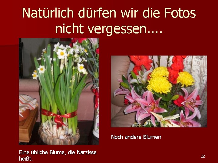 Natürlich dürfen wir die Fotos nicht vergessen. . Noch andere Blumen Eine übliche Blume,