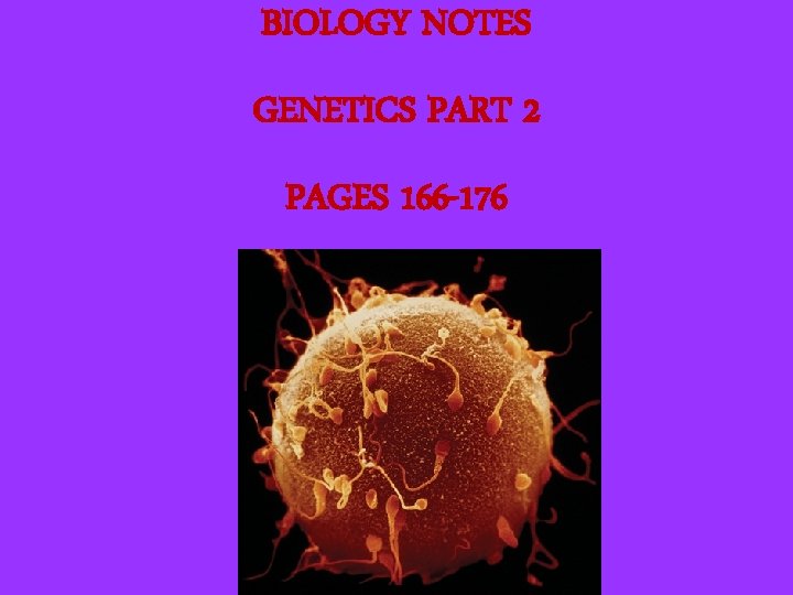 BIOLOGY NOTES GENETICS PART 2 PAGES 166 -176 