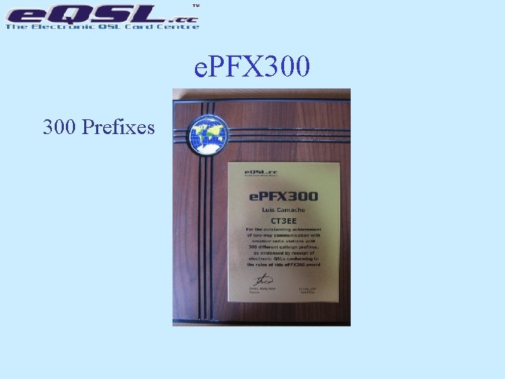 e. PFX 300 Prefixes 