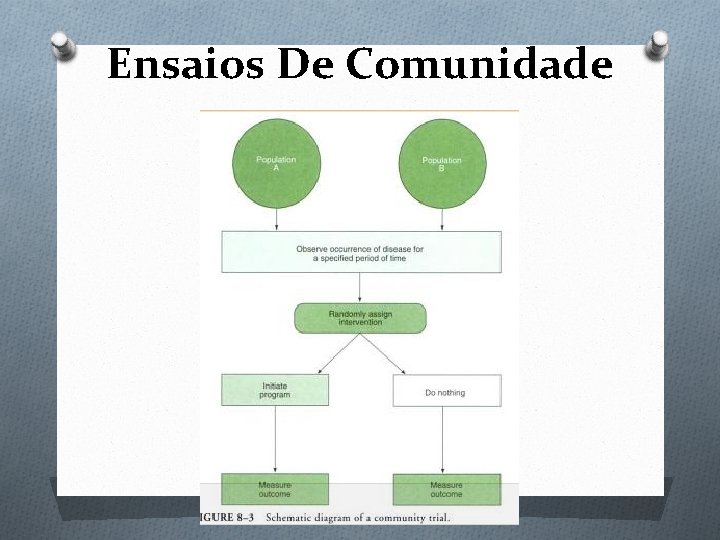 Ensaios De Comunidade 