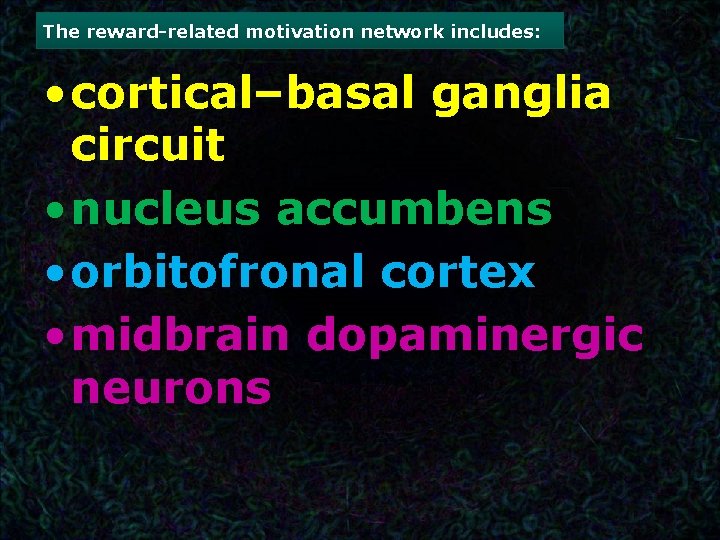 The reward-related motivation network includes: • cortical–basal ganglia circuit • nucleus accumbens • orbitofronal