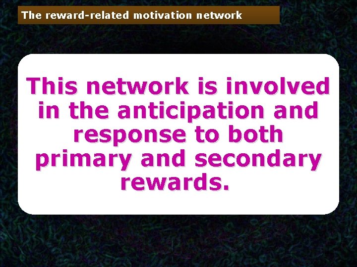 The reward-related motivation network This network is involved in the anticipation and response to