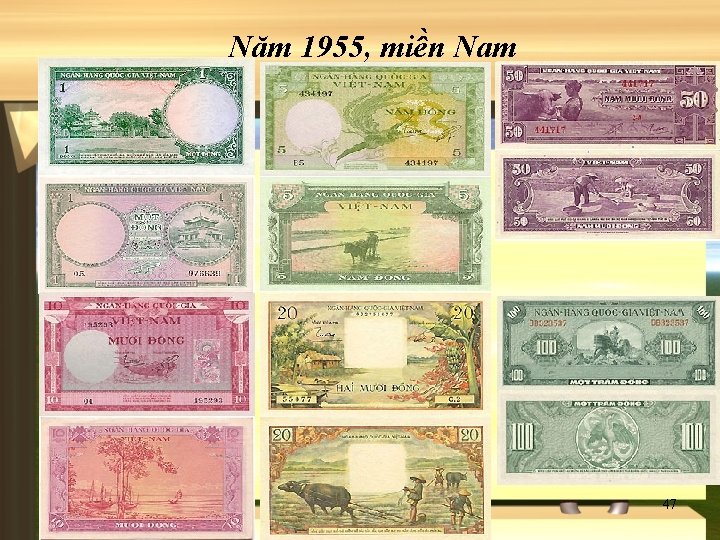 Năm 1955, miền Nam 47 