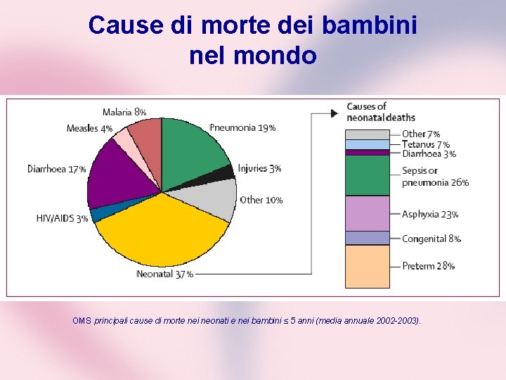 Cause di morte dei bambini nel mondo OMS principali cause di morte nei neonati