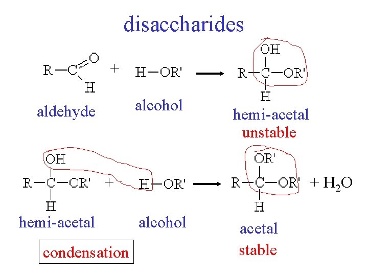 disaccharides + alcohol aldehyde hemi-acetal unstable + hemi-acetal condensation + H 2 O alcohol