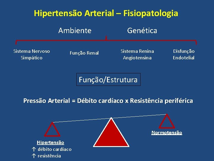 Hipertensão Arterial – Fisiopatologia Ambiente Sistema Nervoso Simpático Função Renal Genética Sistema Renina Angiotensina
