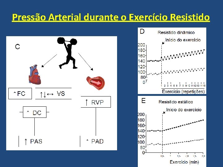 Pressão Arterial durante o Exercício Resistido 