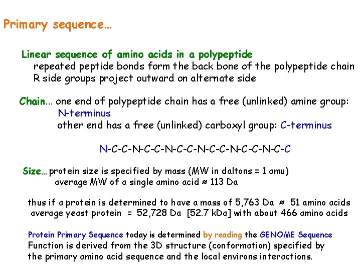 Primary sequence… Linear sequence of amino acids in a polypeptide repeated peptide bonds form