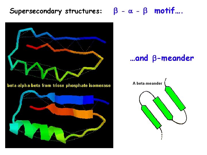 Supersecondary structures: - - motif…. …and -meander 