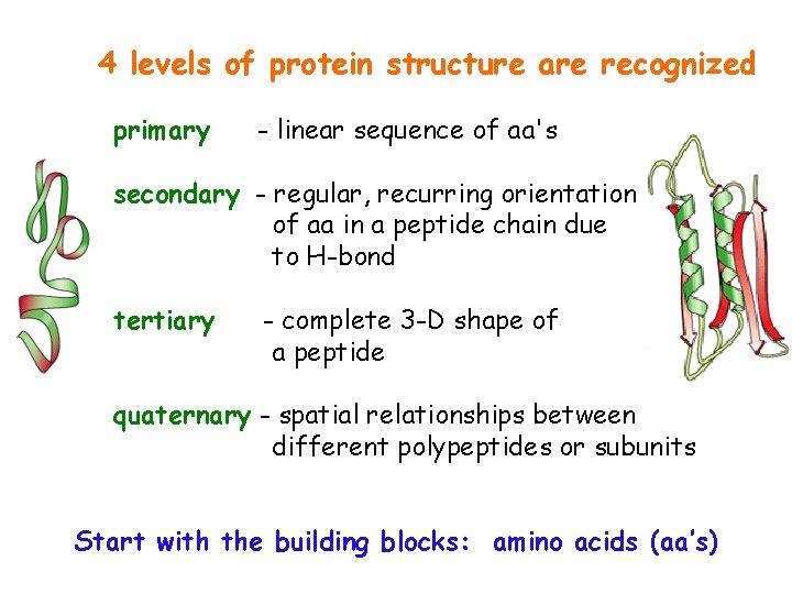  4 levels of protein structure are recognized primary - linear sequence of aa's