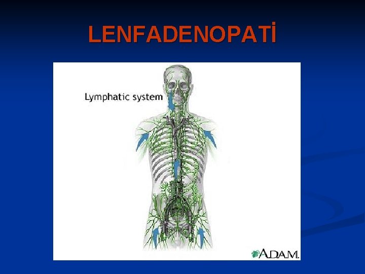 LENFADENOPATİ 