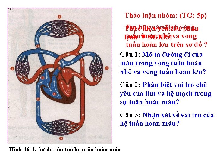 Thảo luận nhóm: (TG: 5 p) Em hãy xác định Thực hiện yêu cầuvòng Thảo luận nhóm: (TG: 5 p) Em hãy xác định Thực hiện yêu cầuvòng