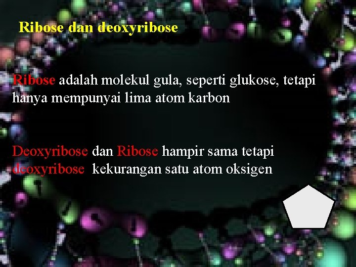 Ribose dan deoxyribose Ribose adalah molekul gula, seperti glukose, tetapi hanya mempunyai lima atom Ribose dan deoxyribose Ribose adalah molekul gula, seperti glukose, tetapi hanya mempunyai lima atom