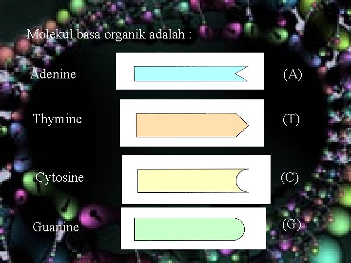 Molekul basa organik adalah : Adenine (A) Thymine (T) Cytosine (C) Guanine (G) Molekul basa organik adalah : Adenine (A) Thymine (T) Cytosine (C) Guanine (G)