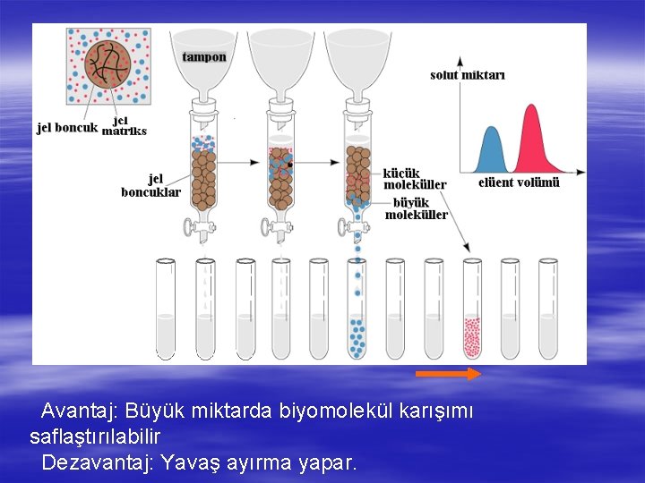  Avantaj: Büyük miktarda biyomolekül karışımı saflaştırılabilir Dezavantaj: Yavaş ayırma yapar. 