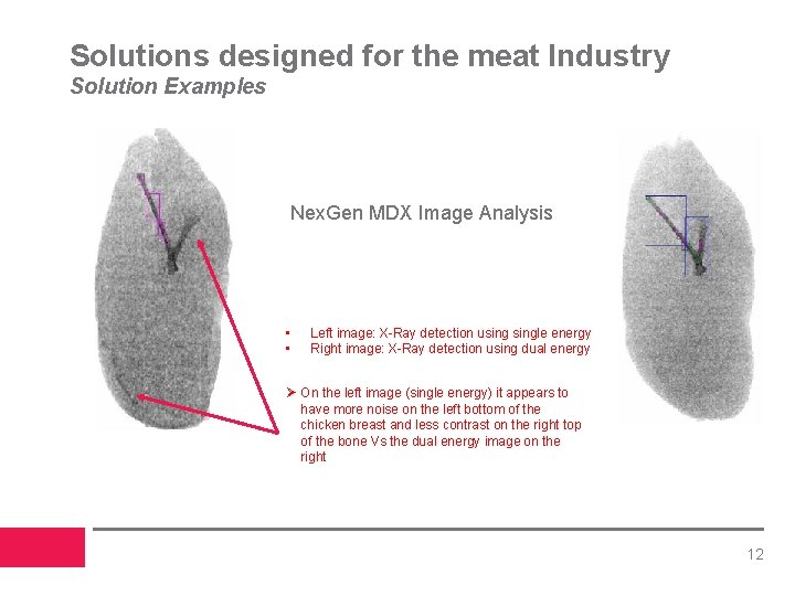 Solutions designed for the meat Industry Solution Examples Nex. Gen MDX Image Analysis •