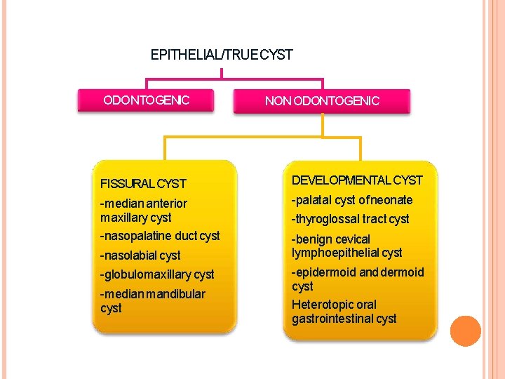 EPITHELIAL/TRUE CYST ODONTOGENIC NON ODONTOGENIC FISSURAL CYST DEVELOPMENTAL CYST -median anterior maxillary cyst -nasopalatine