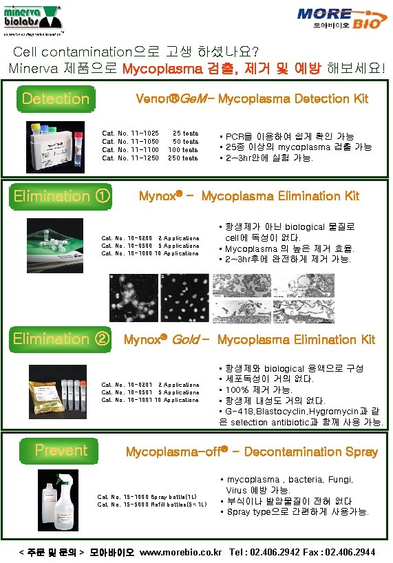 Cell contamination으로 고생 하셨나요? Minerva 제품으로 Mycoplasma 검출, 제거 및 예방 해보세요! Detection Venor®Ge.